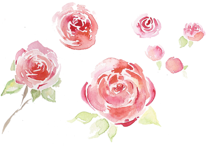 loose watercolour roses; one of the studies on the course