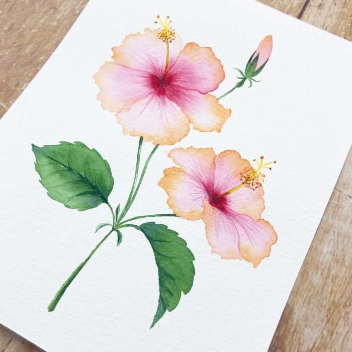 hibiscus watercolour tutorial, learn to paint hibiscus flowers, floral tutorial