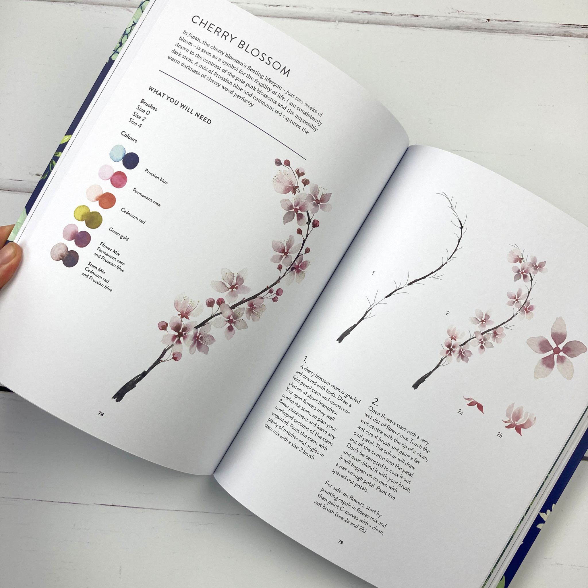 inside botanical watercolour book, how to paint cherry blossom, floral watercolour tutorials, watercolour tutorial book