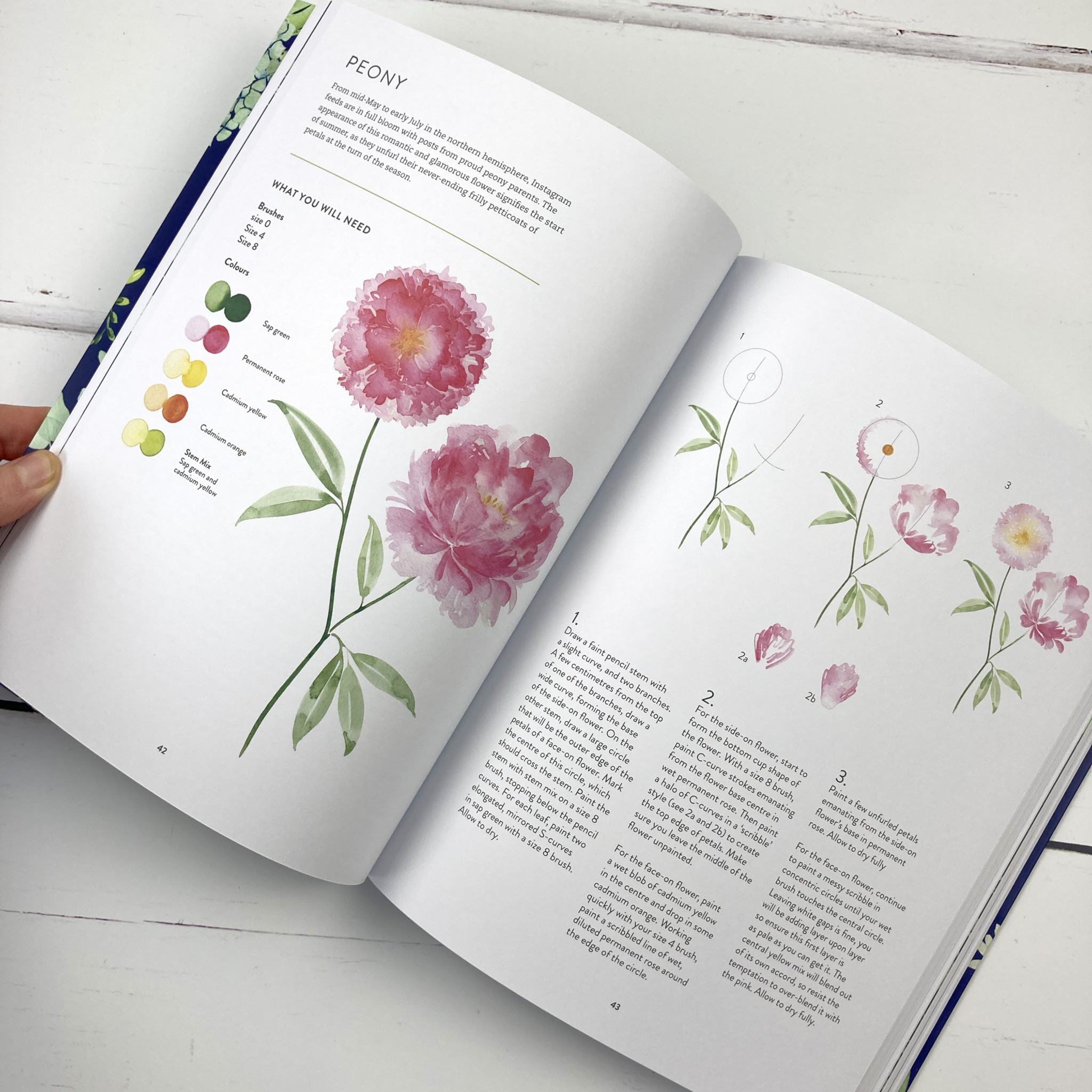 inside botanical watercolour book, how to paint Peony, floral watercolour tutorials, watercolour tutorial book
