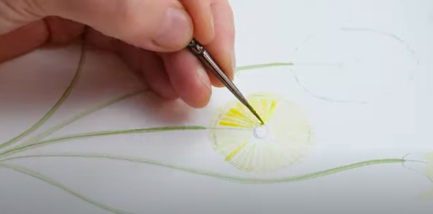 Painting watercolour dandelions