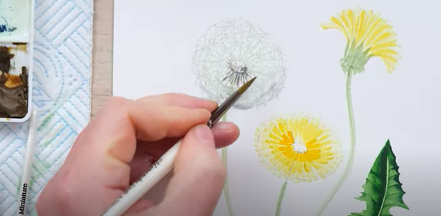 painting a dandelion clock
