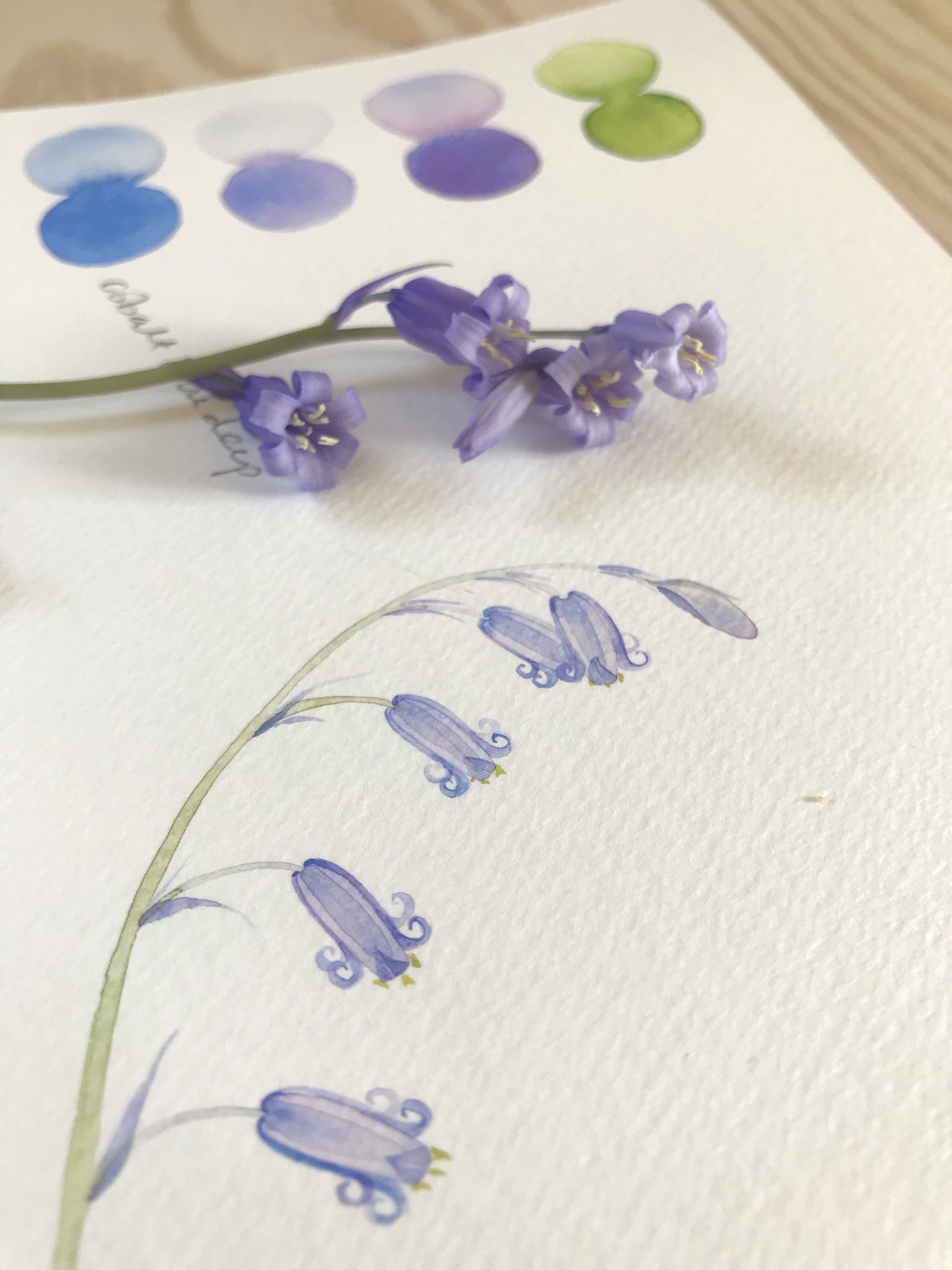 bluebell worksheet, bluebell floral tutorial, bluebell watercolour tutorial, bluebell art, floral art work, floral art tutorial, floral tutorial, flower watercolour tutorial