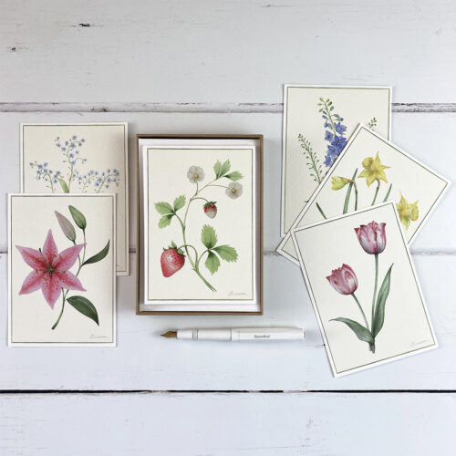 hand painted watercolour seasonal flower note cards