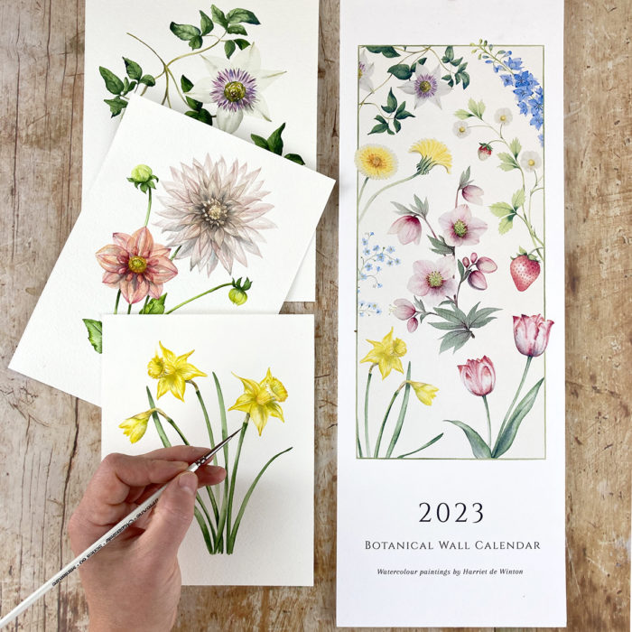 Watercolour 2023 Botanical Wall Calendar
