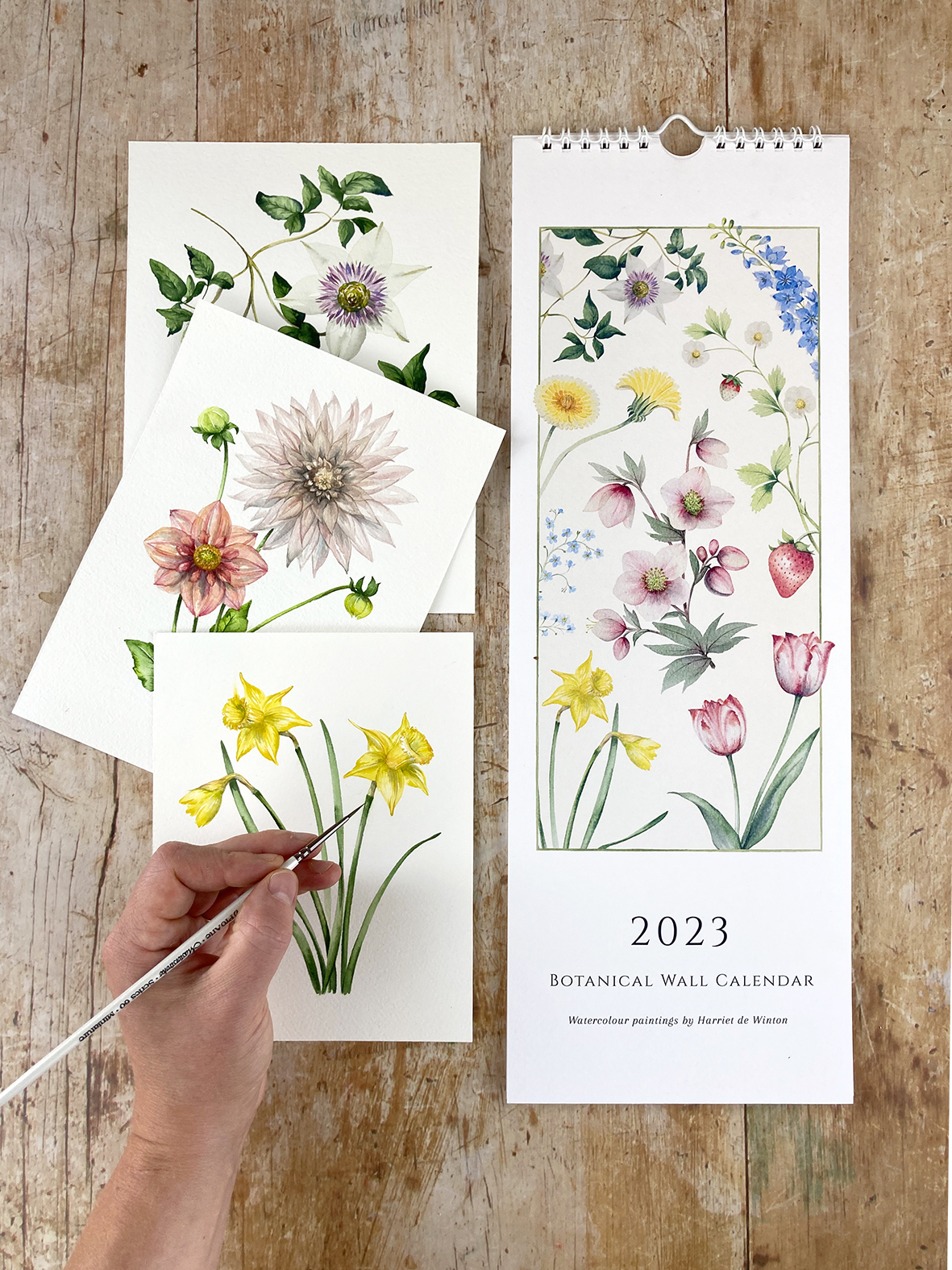 Watercolour 2023 Botanical Wall Calendar