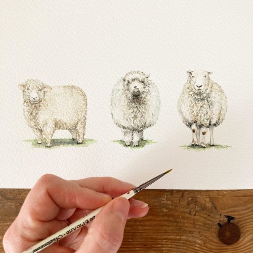 Commissioned Artwork, commissioned watercolour, animal portrait, sheep portrait