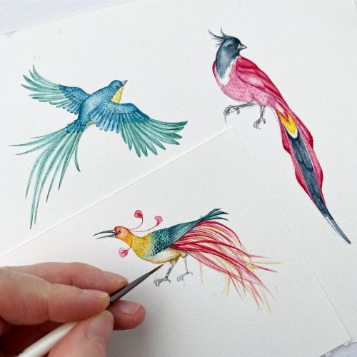 Commissioned Artwork, commissioned watercolour, animal portrait, bird portrait