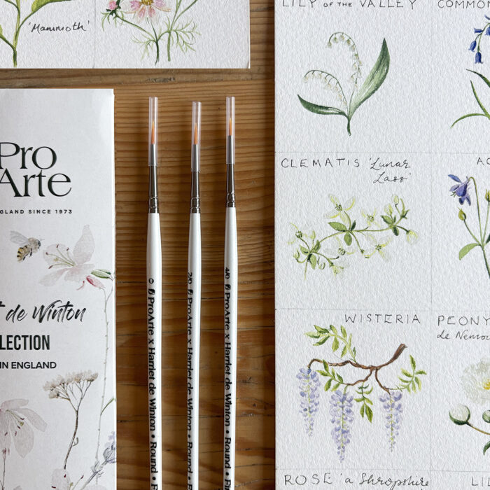 Watercolour Miniature Pointed Round brushes set of 3