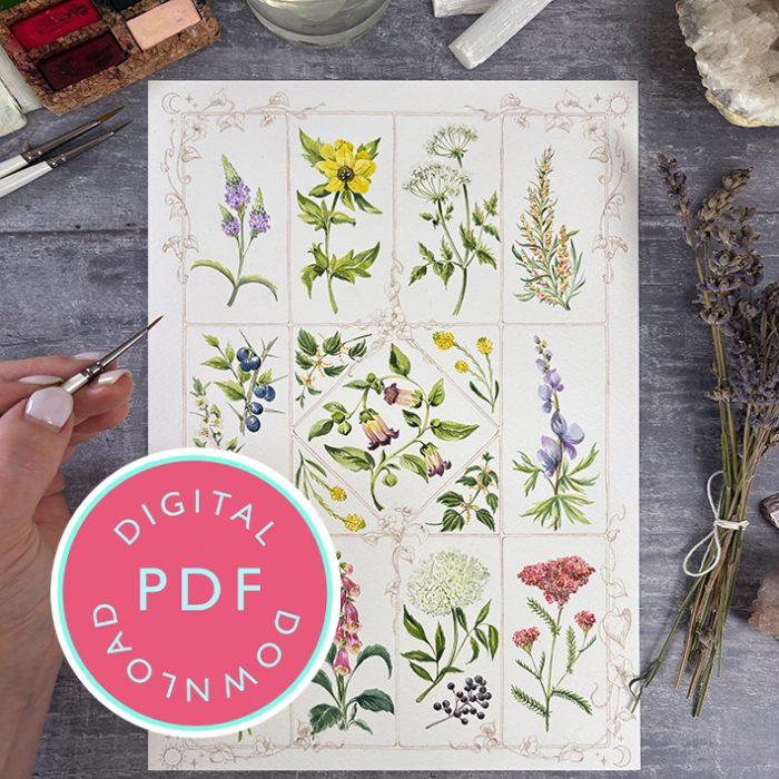 Halloween Watercolour Printable with Line Drawing Guide | Practical Magic Spell Book | Botanical Watercolour Template (Digital Download)