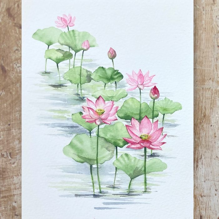 how to paint watercolour lotus flowers
