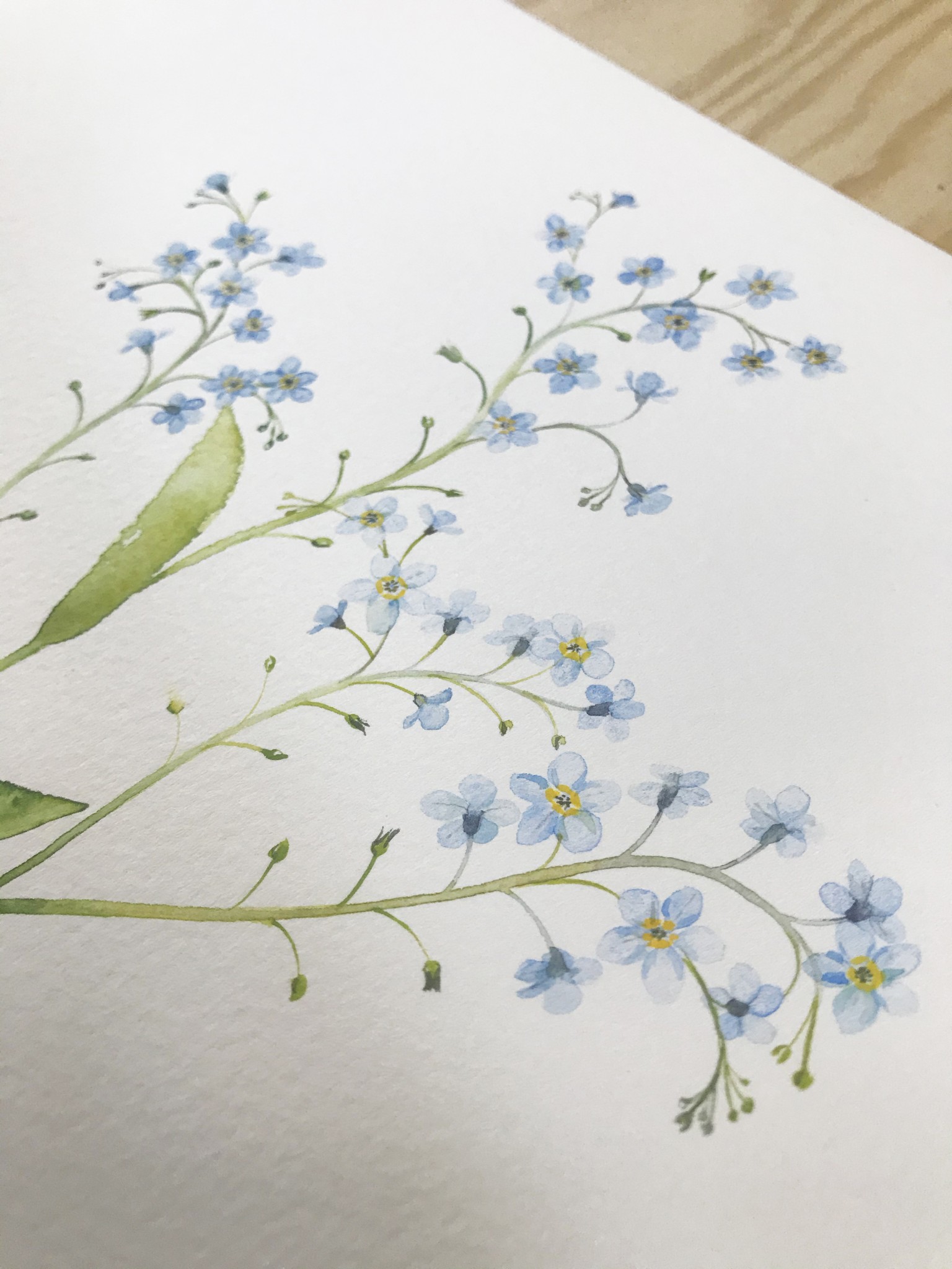 Forget me not watercolour tutorial, watercolour worksheet UK, floral watercolour tutorial