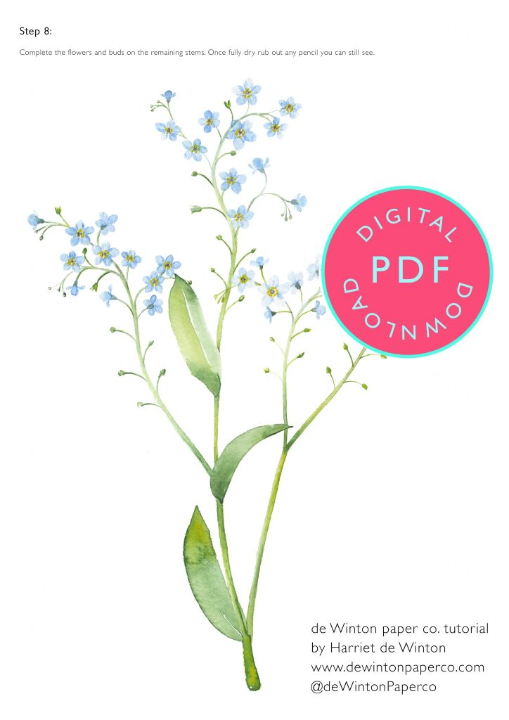 de Winton Paper co | Watercolour Forget Me Not Tutorial ...