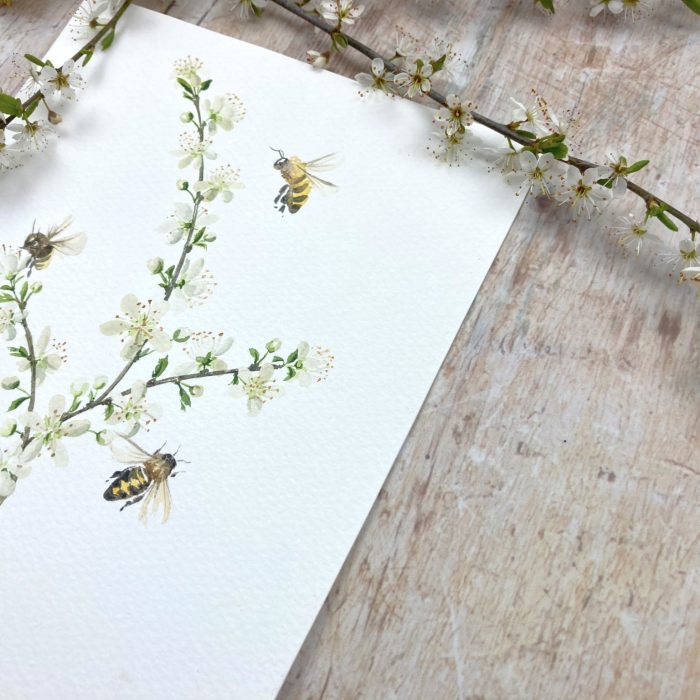 Honey bees and hawthorn blossom painting