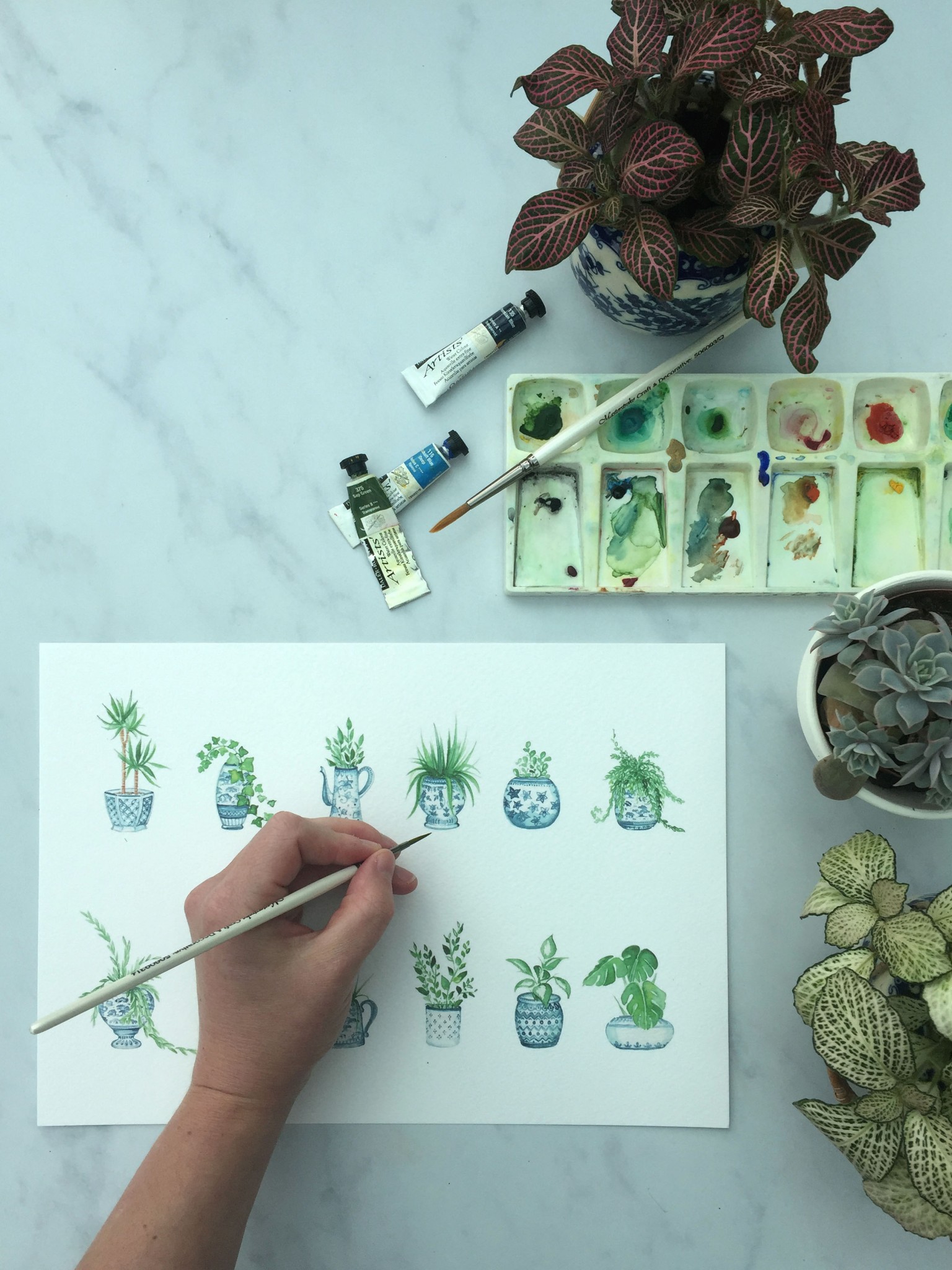 house plant watercolour worksheet, house plants tutorial, house plant lovers gift