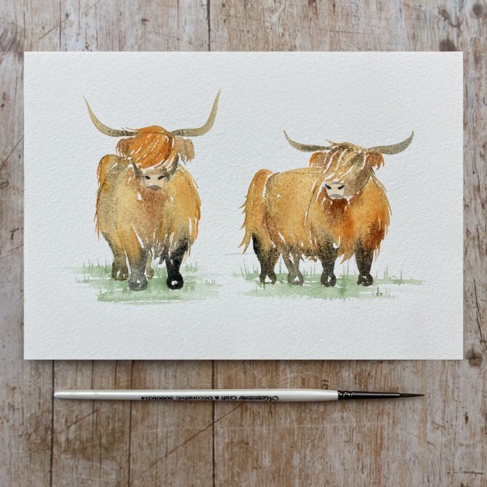 Watercolour tutorial highland cows