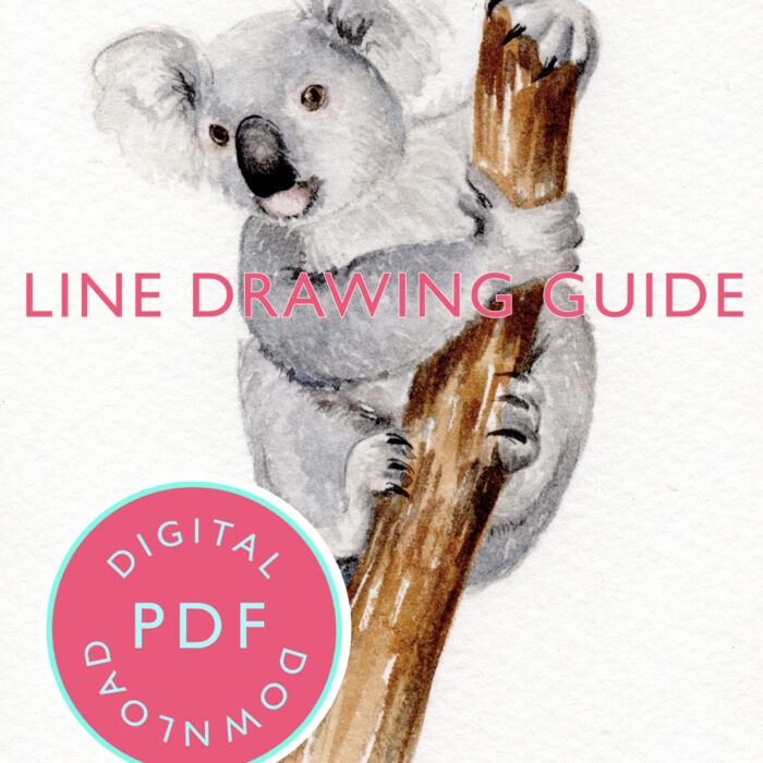 Koala line drawing Youtube 7th May Tutorial Line Drawing Guide (Digital Download)