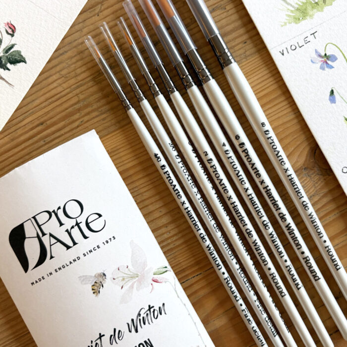 Watercolour Pointed Round brushes set of 7