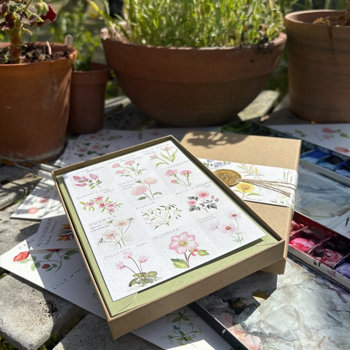 Watercolour Flower Notecard Set | 14 Luxury A6 Greeting Cards | Gardener's Sketchbook Stationery Gift | Blank Floral Cards
