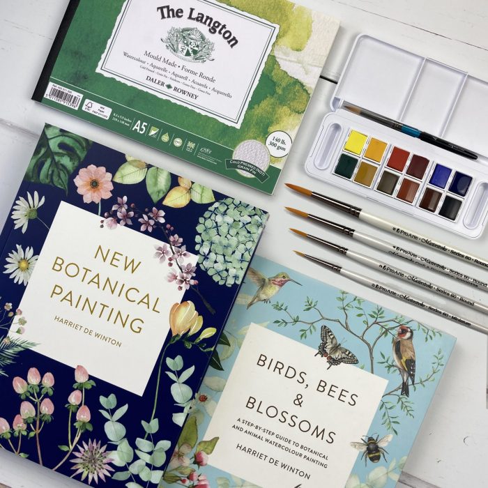 novice watercolour kit with two books