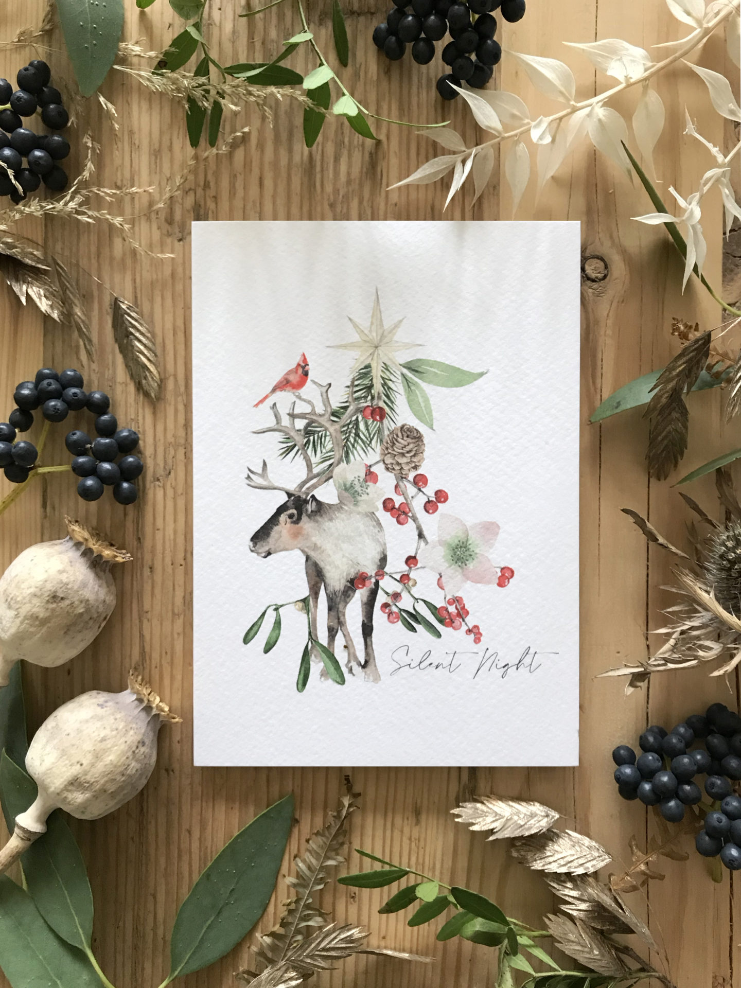 Silent Night Botanical Christmas Cards