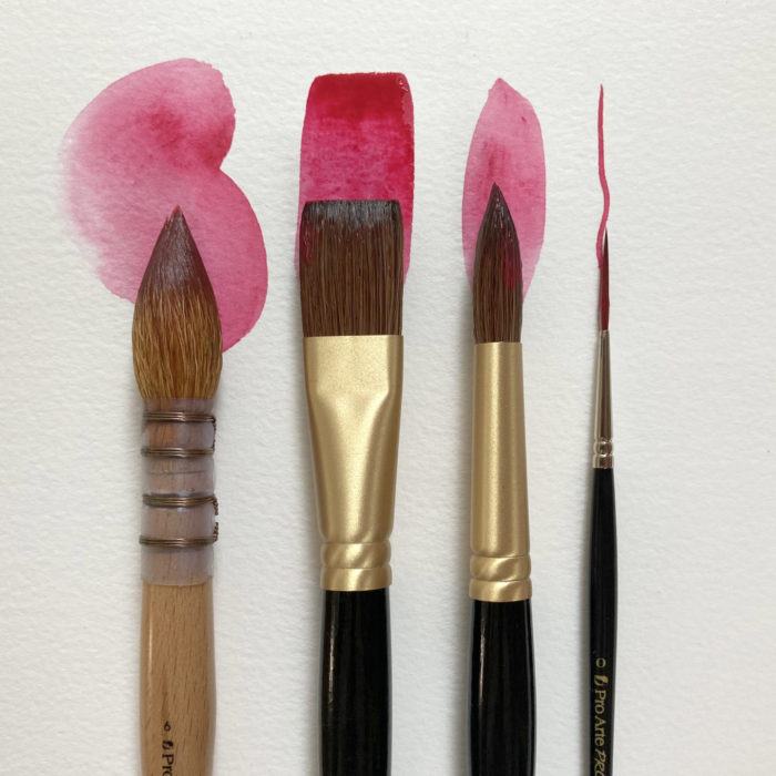 Set of 4 brushes