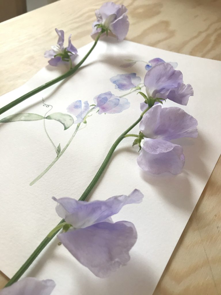 de Winton Paper Co Unique Watercolour Art & Tutorials Watercolour