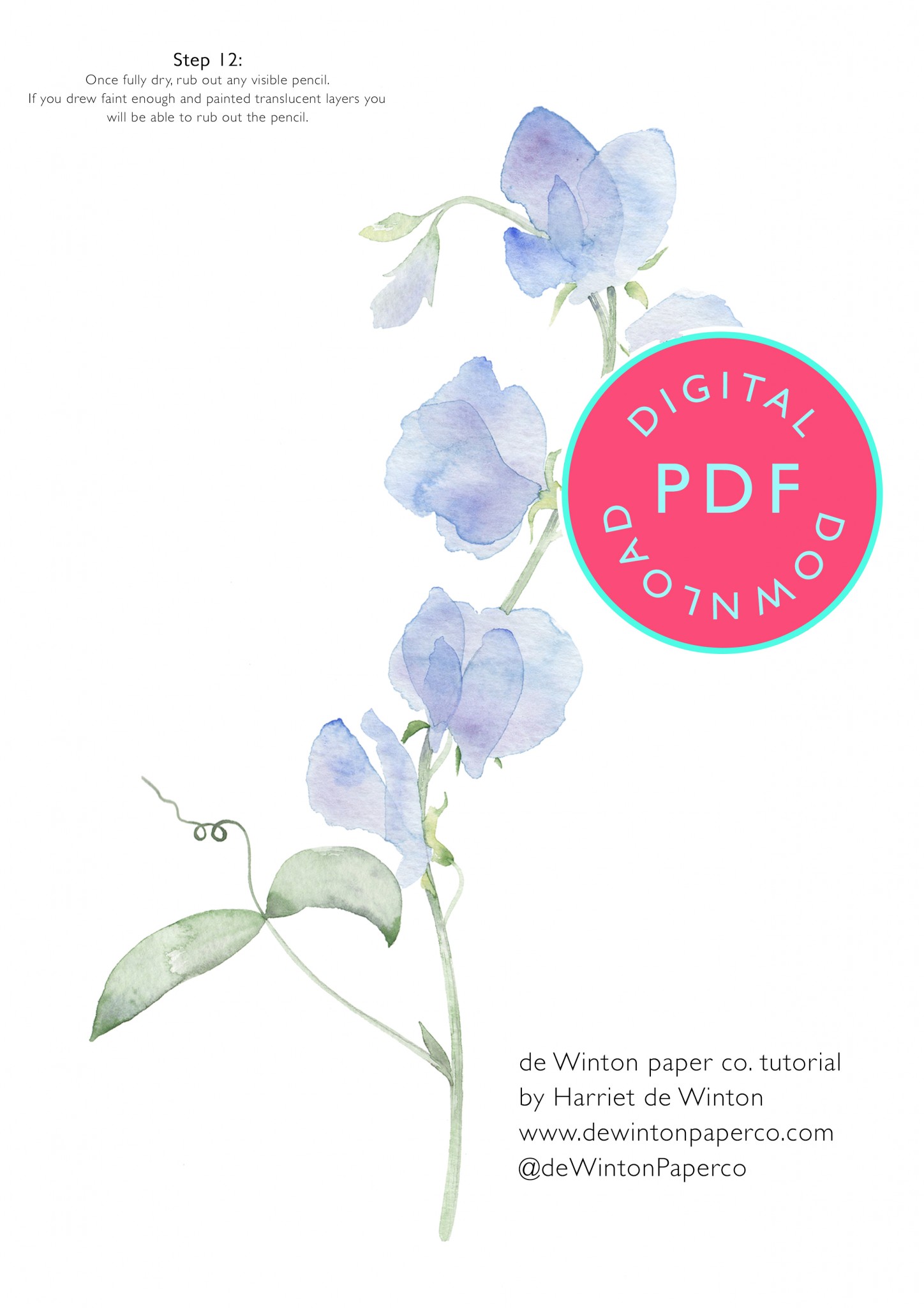 sweet pea watercolour tutorial, floral watercolour tutorial, flowers art work, floral art, watercolour tutorial UK